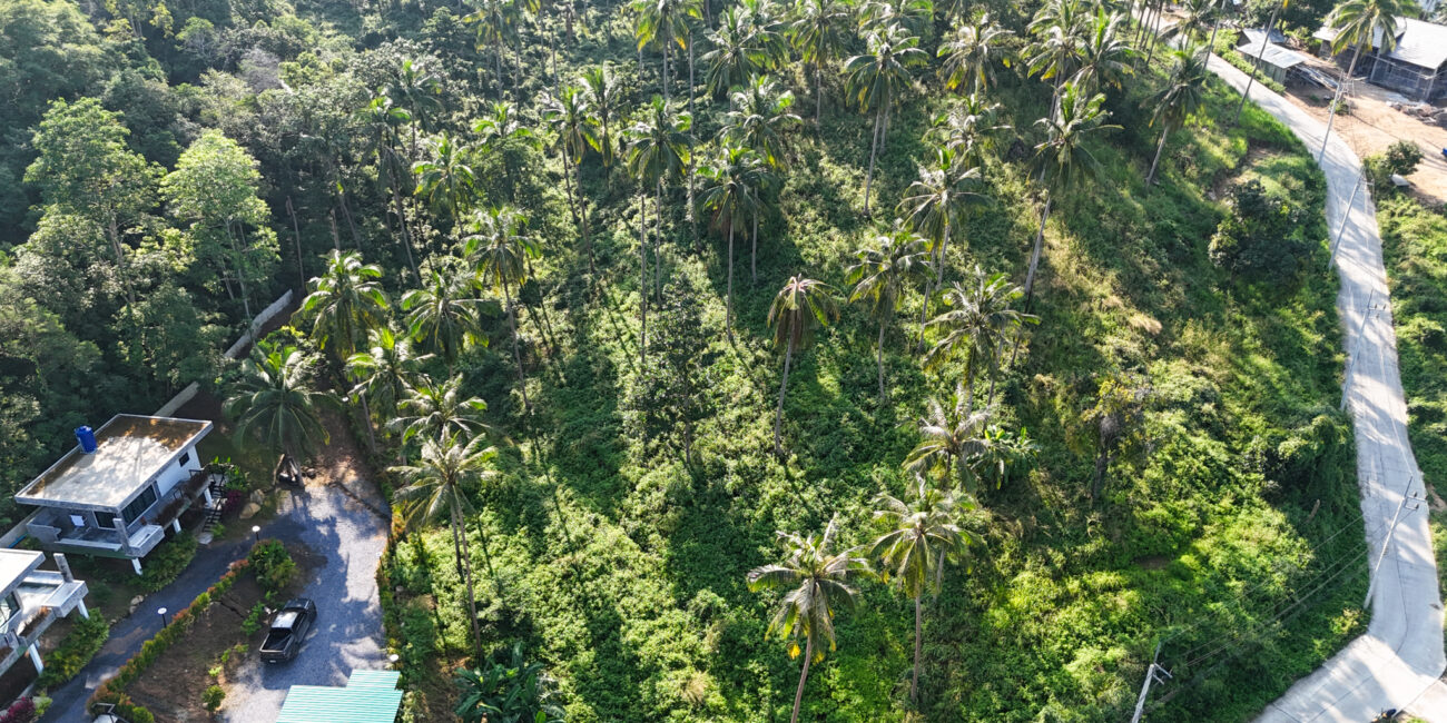 PRIME HILLTOP LAND IN MEANAM SOI 1